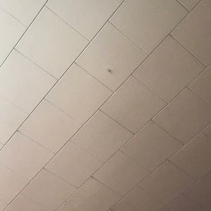 Meet your Posher, Judith